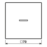 thumbnail of Jung Wippe mit Lichtleiter LC 101 KO5 215 LC101KO5215