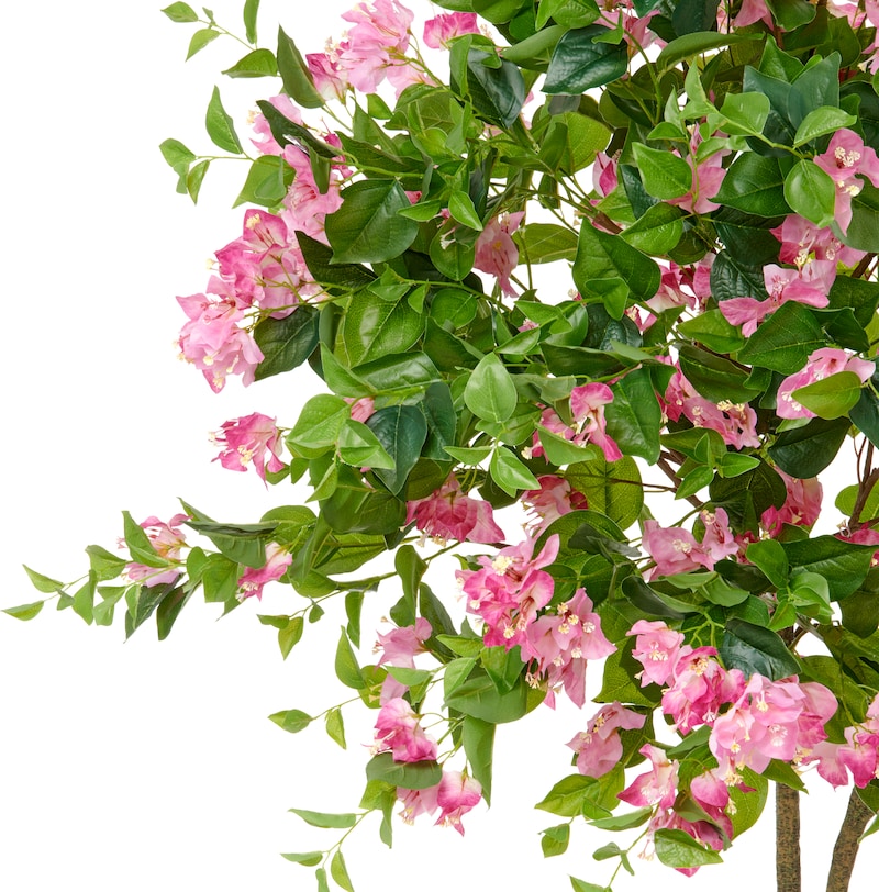 mobile_image