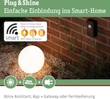 thumbnail of Paulmann Plug & Shine Sensor Smart Home Zigbee 3.0 Twilight Dämmerungssensor4,8VAnthrazit 18012
