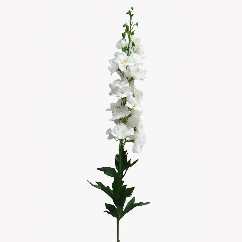 mobile_image