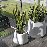 thumbnail of Lampada Vaso Luminoso da Giardino a LED | Luce RGB multicolore con telecomando | Led IP67 | Made in Italy  | cm 40X27| kg 4