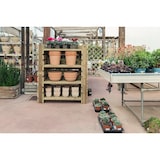 thumbnail of HORTALIA Estante de madeira Augusta