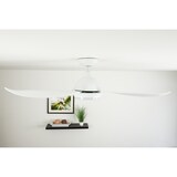 thumbnail of Energiespar Deckenventilator Raja 122 cm mit LED 122