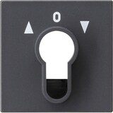 thumbnail of Gira Zentralpl. Schlüssel. anth 066428