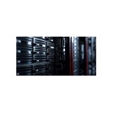 thumbnail of HDD WD Red Pro WD142KFGX 14TB/8,9/600/72 SATA III (D)