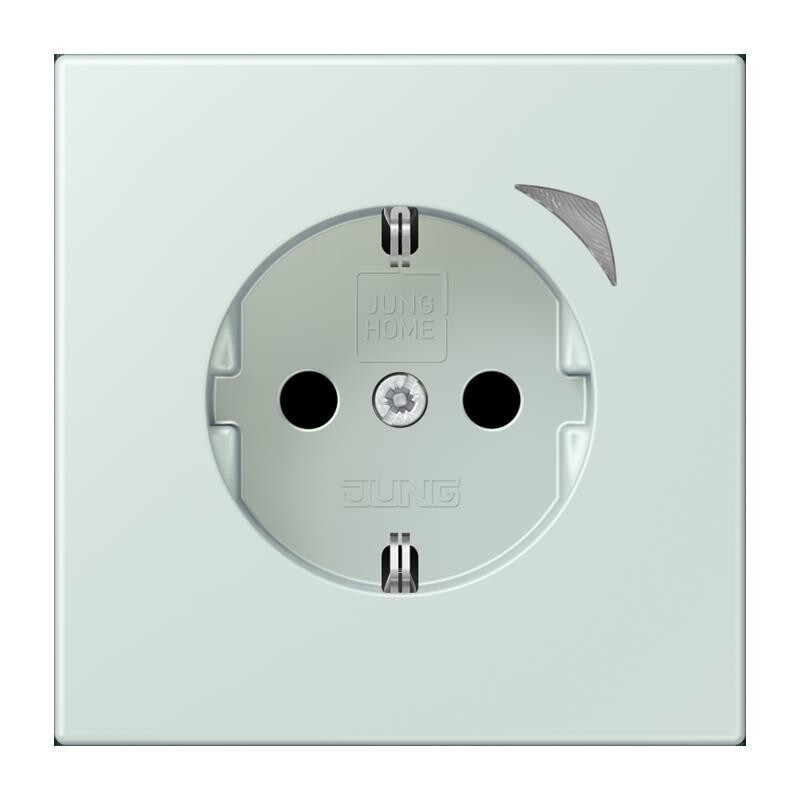 Jung SCHUKO Steckdose BT LC 1521 SE 215 BTLC1521SE215