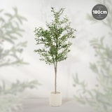 thumbnail of ML-Design – Künstlicher Olivenbaum – 180 cm | mit Früchten, Naturholzstamm, im Topf, Kunstpflanze Indoor & Outdoor
