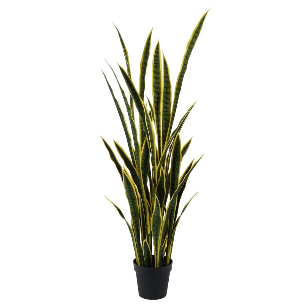 Casalflor Sanseveria 138*55*55 cm Variegato