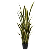 thumbnail of Casalflor Sanseveria 138*55*55 cm Variegato