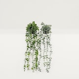 thumbnail of LIGNE DÉCO Plante succulente retombante artificielle 60cm lot de 2