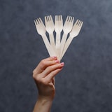 thumbnail of Ekoe Forchetta di legno monouso ecologica 16,5 cm 1000 pz