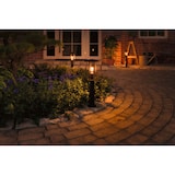 thumbnail of Paulmann Borne lumineuse Classic favorable aux insectes IP44  500mm 2200K 4,3W 420lm 230V  Noir E27 Métal 94737