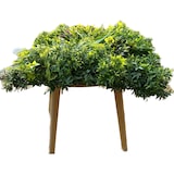 thumbnail of GeckoWall “RIO” | Pared de plantas de la selva premium | Revestimiento de paredes para hostelería plantas artificiales | Paneles de pared tropical