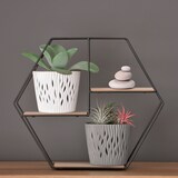 thumbnail of WellHome - Set 3 Maceteros 3L Sandy Round Ø18,9 cm/u Color Antracita