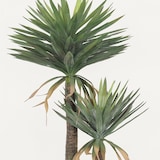 thumbnail of LIGNE DÉCO Yucca artificiel 2 troncs 150cm