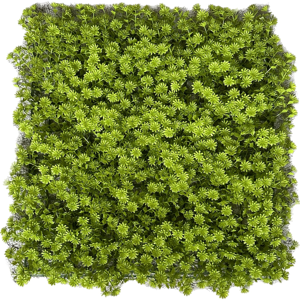 GeckoParete "ULM" | Parete vegetale verde fiori premium | Rivestimento boiserie gastronomia | Montaggio piante artificiali | Pannelli murali muschio