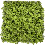 thumbnail of GeckoParete "ULM" | Parete vegetale verde fiori premium | Rivestimento boiserie gastronomia | Montaggio piante artificiali | Pannelli murali muschio