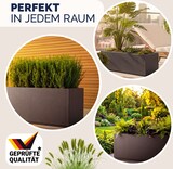thumbnail of CASARIA® Pflanzkasten Ethica 80x36x36cm Braun