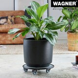 thumbnail of WAGNER Pflanzenroller BLACK & WHITE - Ø 38 x 8 cm, Soft-Rollen, Bremsen, innnen & außen, Tragkraft 150 kg - 20701701