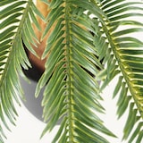 thumbnail of LIGNE DÉCO Palmier artificiel cycas 70cm