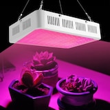 thumbnail of Lâmpada de crescimento 100 LED para cultivo VETS Luz para plantas de interior 1000w