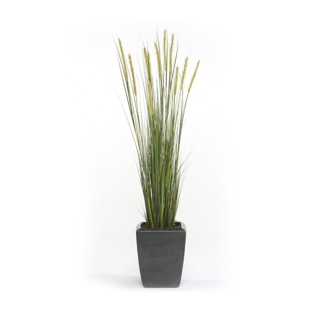 Planta junco acabado ESPIGA ESTRECHA. Altura 125 cm