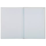 thumbnail of Exacompta - Réf. 3300E - Paquet de 5 Manifolds quadrillé 5x5 29,7x21cm 50 feuillets dupli autocopiants