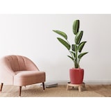 thumbnail of Vase Delmare 100 Coral / Gold