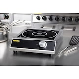 thumbnail of Buffalo Induktionskochplatte