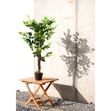 thumbnail of LEX künstliche Pflanze Ficus 378 Blätter ca. 115 cm