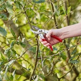 thumbnail of SIENA GARDEN CG1050 Premium Premium Ambossschere CG1050, antihaftbeschichtete Klinge