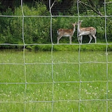 thumbnail of BETAFENCE   Schweres Ursus Bezinal 100/6/15