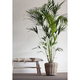 thumbnail of Maceta Seca de Ratán - ø 34 x 30 cm - Jardinera Sostenible con Interior de Plástico Reciclado Impermeable - Macetas de Interior - Gris