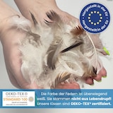 thumbnail of 2 Stück / 2er Set Federkissen 100% Federn 50x50 - 600g OEKO-TEX Kissen / Füllkissen mit Bezug aus 100% Baumwolle weiß / Innenkissen / Kissenfüllung /