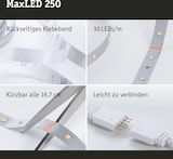 thumbnail of Paulmann MaxLED 250 LED Strip Erweiterung 5m RGBW+  31,5W 270lm/m RGBW+ 79867