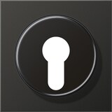 thumbnail of Jung Abdeckung anth AL 2928 AN AL2928AN