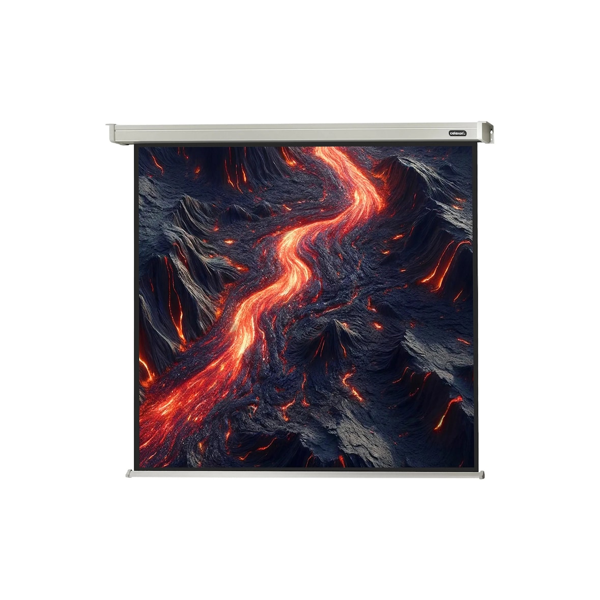 celexon Leinwand Motor Professional 200 x 200 cm