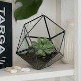 thumbnail of Relaxdays Pflanzenterrarium, Glas & Zinn, Deko Glashaus für Kakteen & Moos, offener Glaskasten für Fensterbank, schwarz