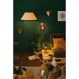 thumbnail of Paulmann Vintage Edition Standard 230 V Ampoule LED E27  500lm 4,7W 2500K  Doré 28714