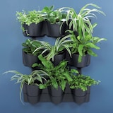 thumbnail of Prosperplast - Fioriera verticale Cascade Wall in plastica color antracite 67x17,7x57 cm