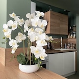 thumbnail of LIGNE DÉCO Orchidées artificielles blanche 55cm