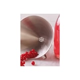 thumbnail of Entonnoir inox avec filtre professionnel Ø 12 cm Stellinox