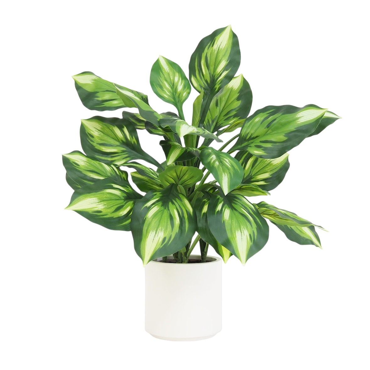 LIGNE DECO Dieffenbachia camilla artificiel toucher naturel 65cm
