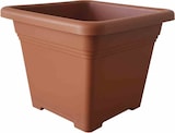 thumbnail of SIENA GARDEN  Quadro Topf Quadro 48x48x38,2 cm, terracotta