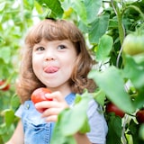 thumbnail of Relaxdays Spiralstäbe Tomaten, 10er Set, Tomatenrankhilfen verzinkter Stahl, Tomatenstäbe, Ø 5 mm, 90 cm lang, silber