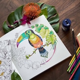 thumbnail of STAEDTLER - Caja de Cartón con 24 Lápices de Colores Surtidos