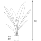 thumbnail of King Home Plante de Strelitzia en polyéthylène 12 feuilles et 2 fleurs vertes