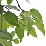 thumbnail of Kunstmatige dwergficus met pot 60 cm