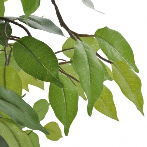 mobile_image