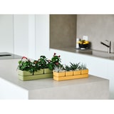 thumbnail of TERA vaso elegante Sierra, 4 vasi quadrati + sottovaso, dim. 48x12x11h, fioriera piantine, piante grasse, resistente UV, colore corallo